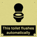 this-toilet-flushes-automatically~